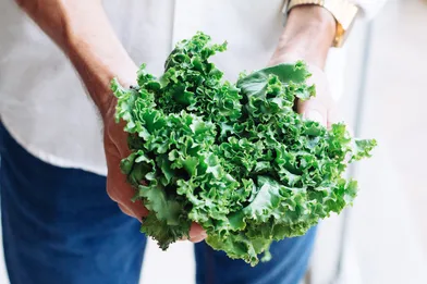 Green Goodness: The Health Benefits and Versatility of Kale in a Plant-Based Lifestyle