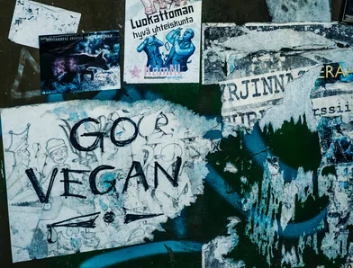 The Ethics of Veganism: Understanding Animal Rights and Welfare