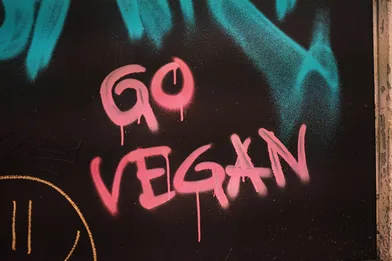 Transitioning from Vegetarian to Vegan: What You Need to Know