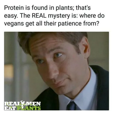 Protein is found in plants. How about patience?