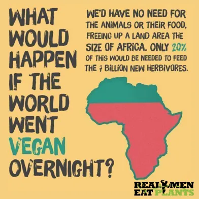 This would happen if men will start vegan.