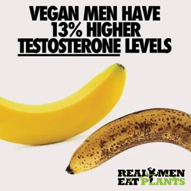 Fun Facts about Vegan Men.