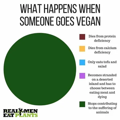 This what happens when someone goes vegan.