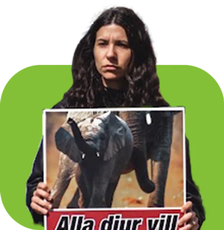 Ximena
