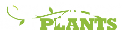 339848_RMEPLogoWhite_122018ver-2.png