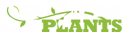 339848_RMEPLogoWhite_122018ver-2.png