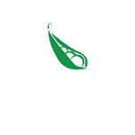 PBNSG_circle_logo-removebg-previewnew.png